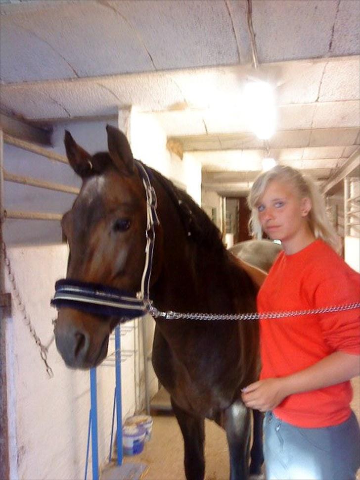 New Forest Sulaatik´s Benji SOLGT - Mig og Bønne :D billede 7