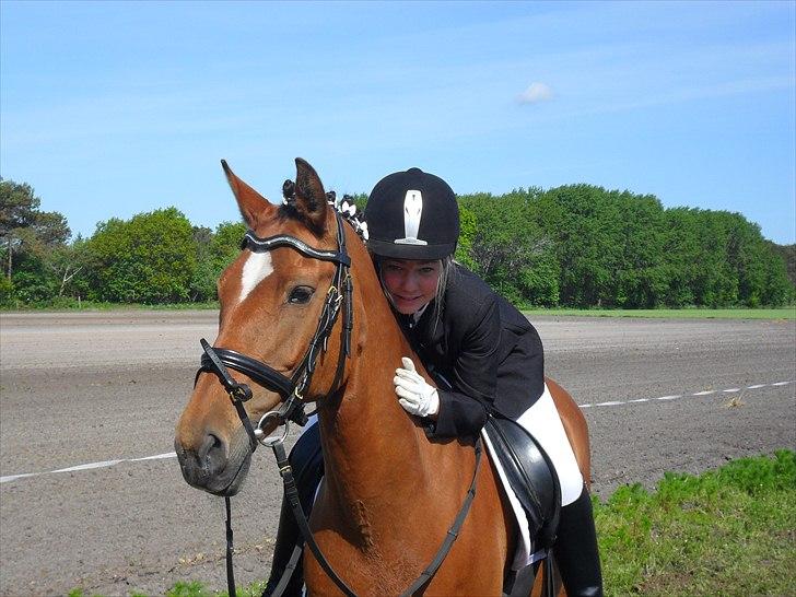 New Forest Beukenhof Iris - Stævne <3 billede 1