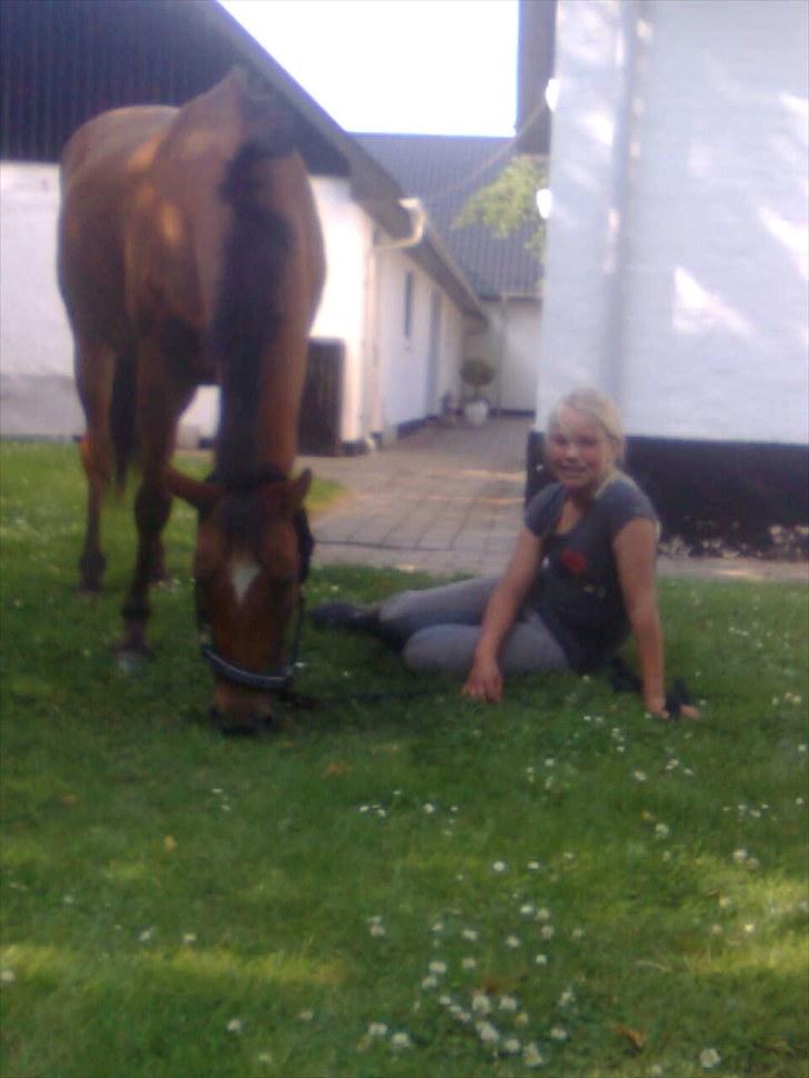 New Forest Beukenhof Iris - Iris med ude i haven, vi hygger.<3333 billede 4