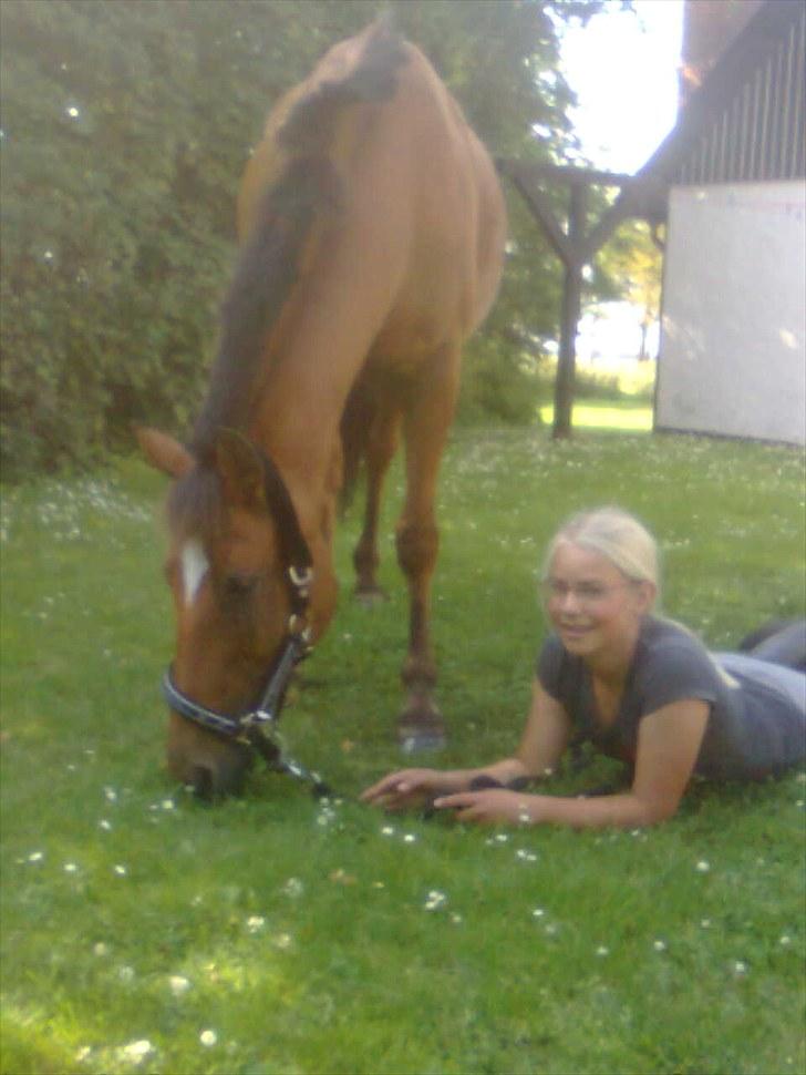 New Forest Beukenhof Iris - Iris var med ude i haven... <3333 billede 5