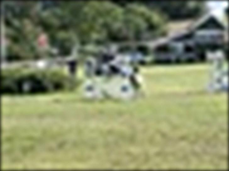 Anden særlig race Black Star - B pony<3 - distriktsmestrer 2010 billede 19