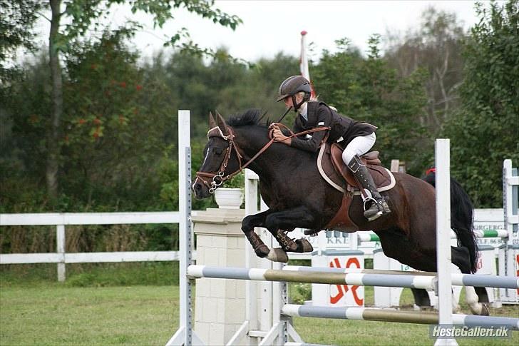 DSP Tai Tanico B-pony - SOLGT :0( billede 20