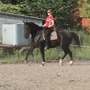 Oldenborg Montana Vestermølle, Solgt til Fredensborg.