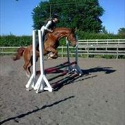 Anden særlig race Jupiter