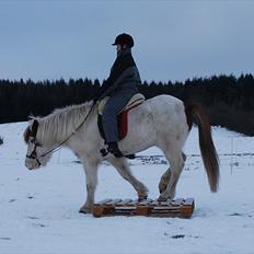 Islænder Faxi fra Miklagård