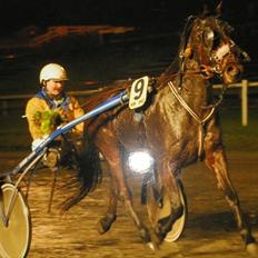 Traver Forever Bit (død)