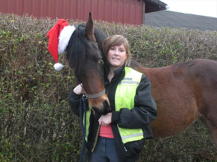 Anden særlig race Bruno - 01-12-2009 billede 10