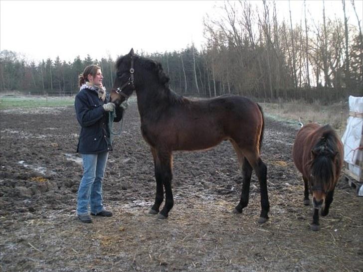 Anden særlig race Bruno - December 2008 Bruno 6 måneder billede 13