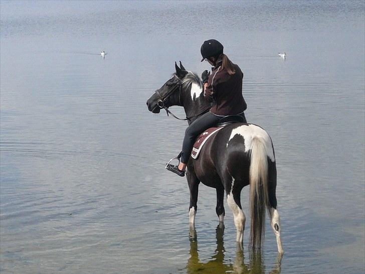 Pinto Melanie - sleep tight :') - Ude at soppe :-) billede 9