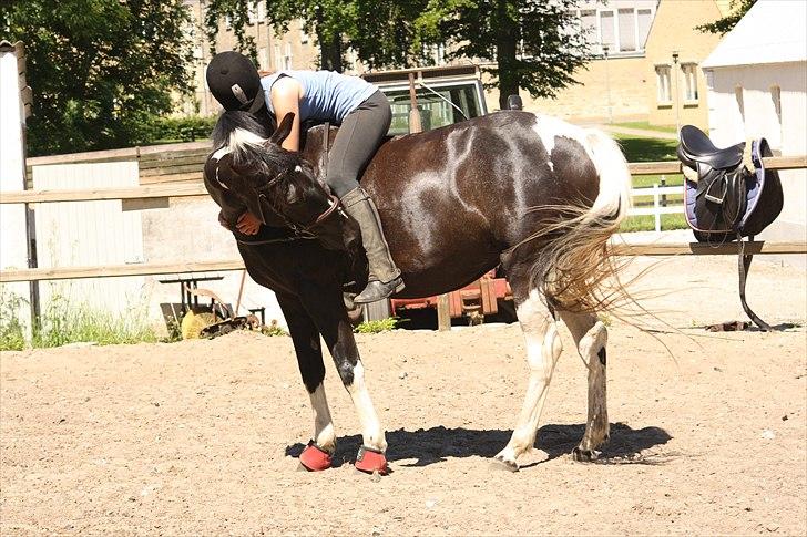 Pinto Melanie - sleep tight :') - Summerlove :) Hygge med Line en varm sommerdag. Foto: Line Skou billede 11