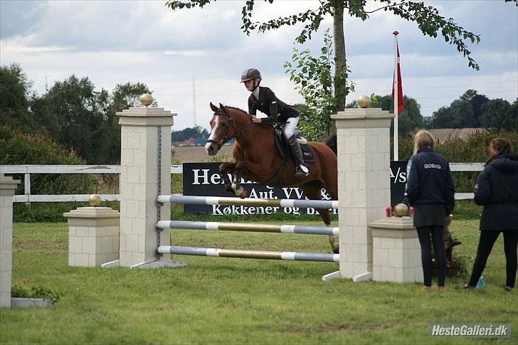 DSP Kronhedens Palova B-pony billede 17