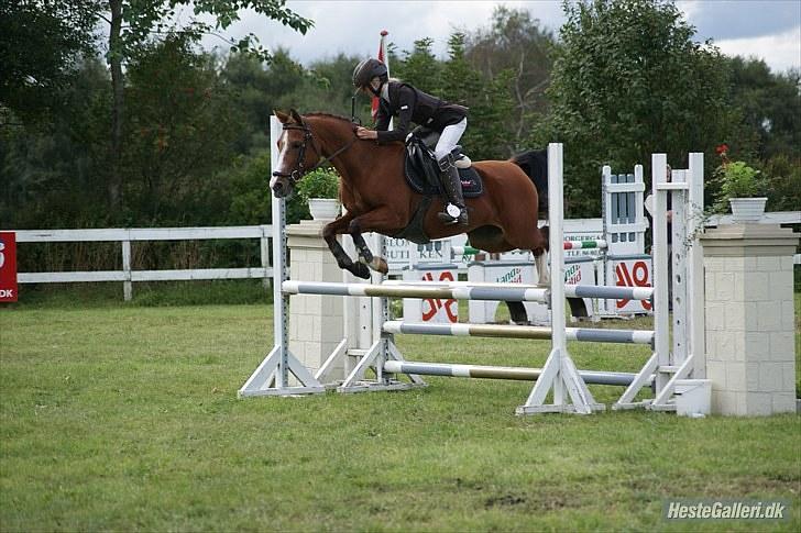 DSP Kronhedens Palova B-pony billede 18