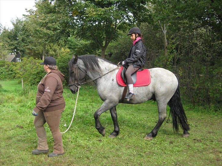 Anden særlig race Walodias Gunnar - En på ryggen for første gang billede 4