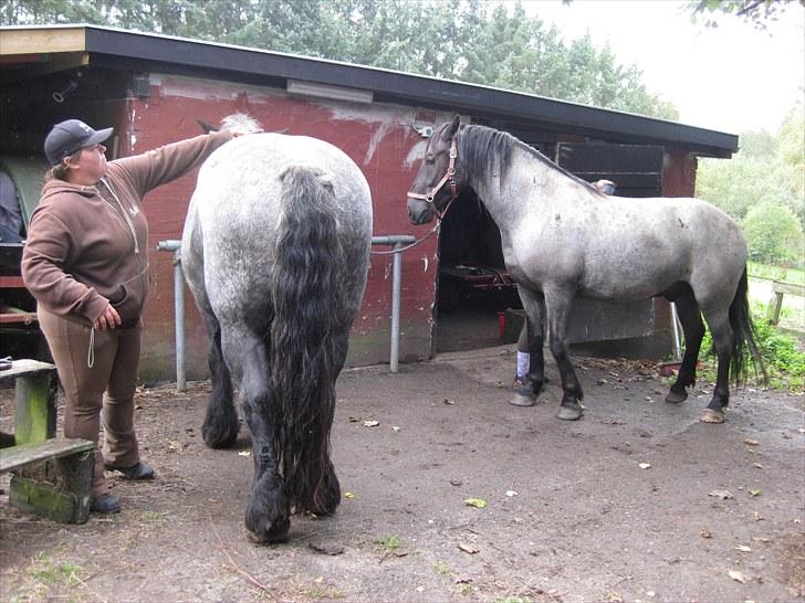 Anden særlig race Walodias Gunnar billede 6