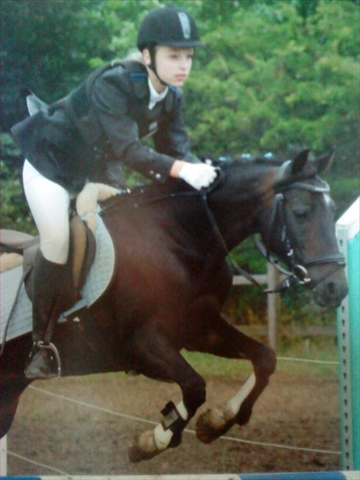 Anden særlig race Rose *REGIONSMESTER 2010* - Fra Ponyugen i Hammerum 2010. I en LB. billede 1