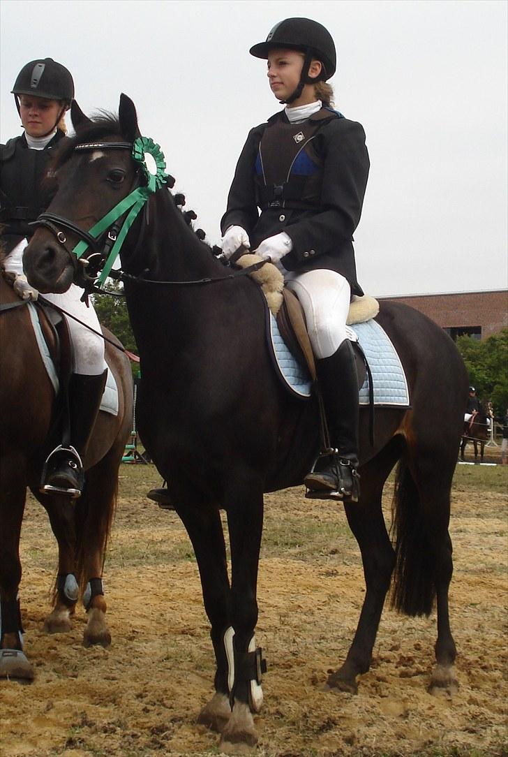 Anden særlig race Rose *REGIONSMESTER 2010* - Til præmieoverrækkelse i LB´en til ponyugen (8.plads ud af 39) billede 6