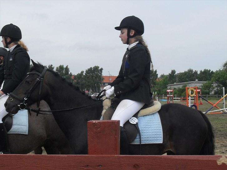 Anden særlig race Rose *REGIONSMESTER 2010* - Til præmieoverrækkelse i LB´en til ponyugen.  billede 7