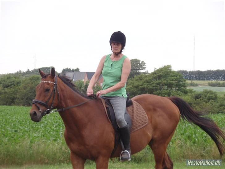 Anden særlig race Bruno "Giraffen" billede 4