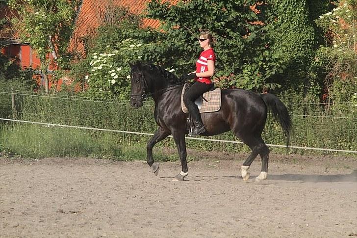 Oldenborg Montana Vestermølle, Solgt til Fredensborg. billede 1