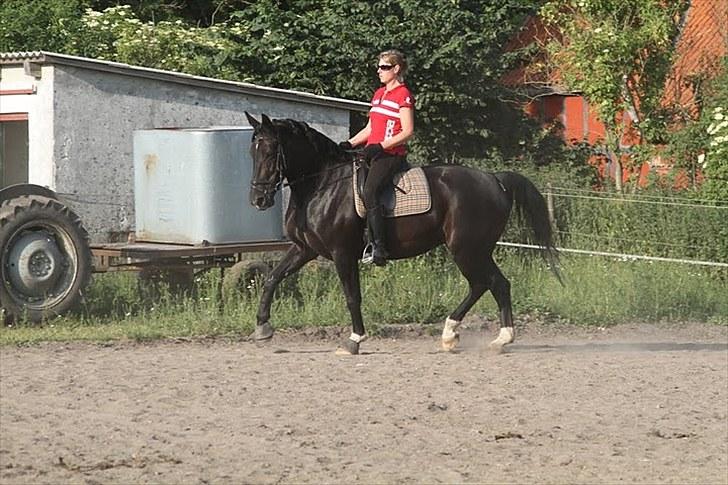 Oldenborg Montana Vestermølle, Solgt til Fredensborg. billede 2