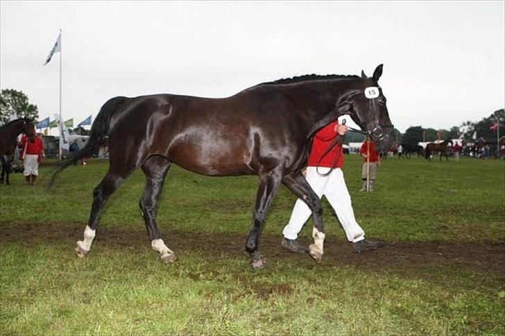 Oldenborg Montana Vestermølle, Solgt til Fredensborg. billede 3