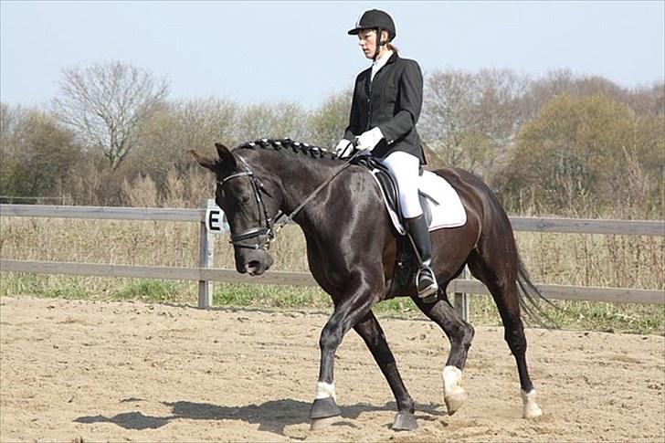 Oldenborg Montana Vestermølle, Solgt til Fredensborg. billede 4