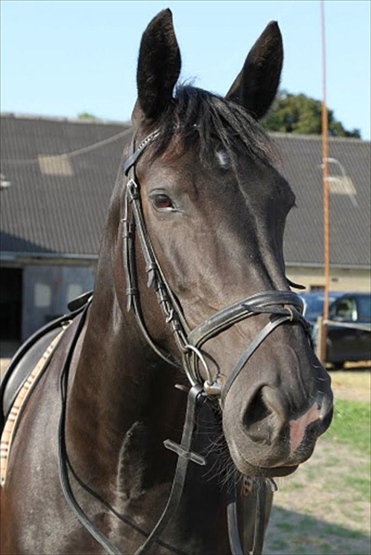 Oldenborg Montana Vestermølle, Solgt til Fredensborg. billede 6