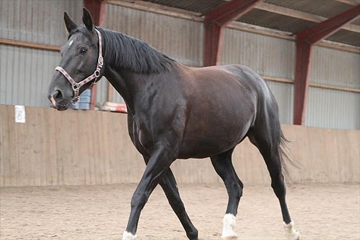 Oldenborg Montana Vestermølle, Solgt til Fredensborg. billede 7