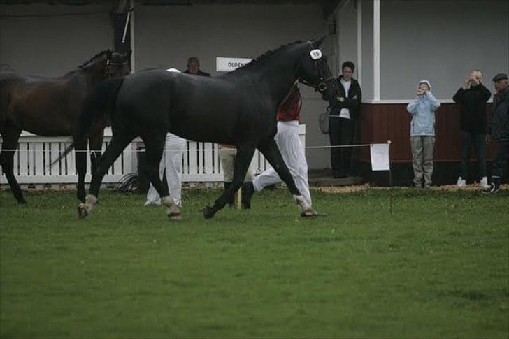 Oldenborg Montana Vestermølle, Solgt til Fredensborg. billede 9