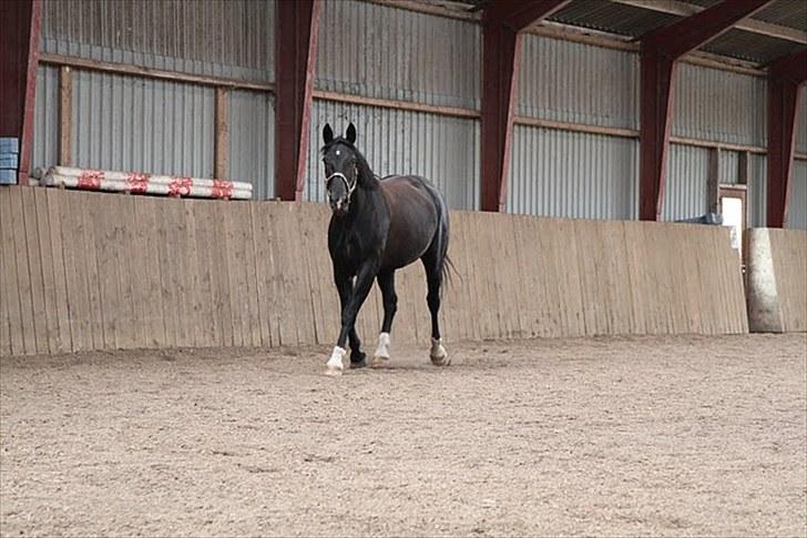 Oldenborg Montana Vestermølle, Solgt til Fredensborg. billede 10