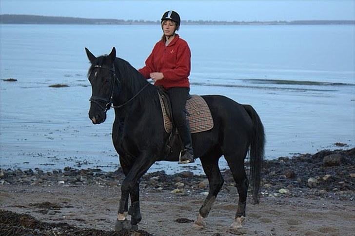 Oldenborg Montana Vestermølle, Solgt til Fredensborg. billede 11