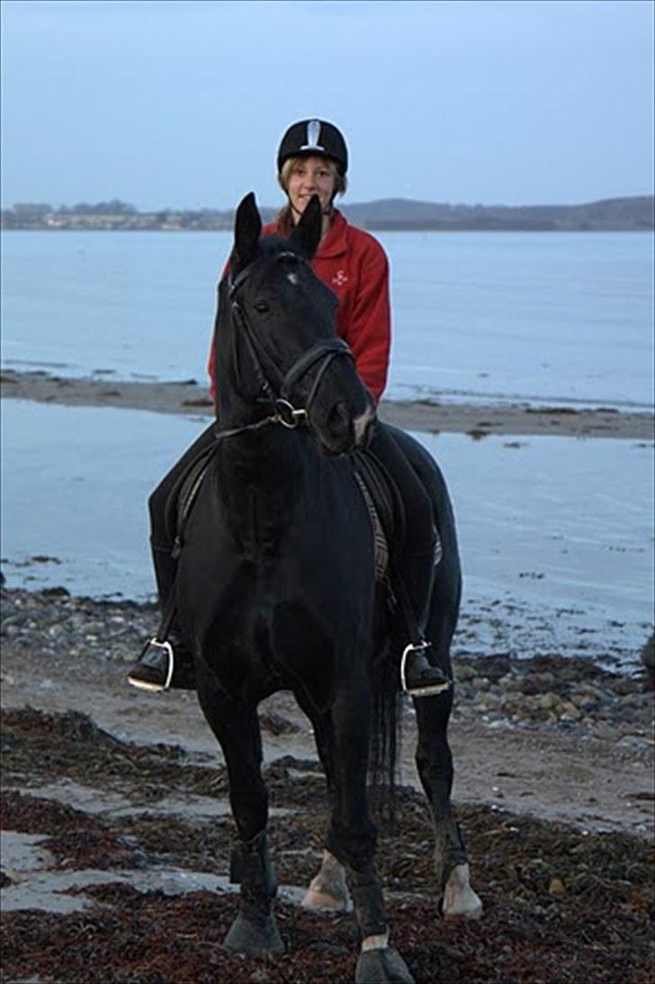 Oldenborg Montana Vestermølle, Solgt til Fredensborg. billede 12