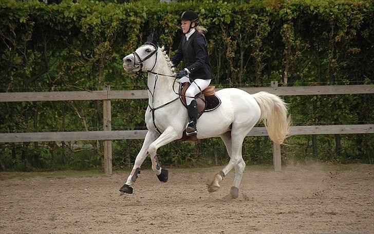 Anden særlig race lady pop *prinsessen* - den seje til stævne og vandt begge klasser foto: Freia Jensen :) billede 2