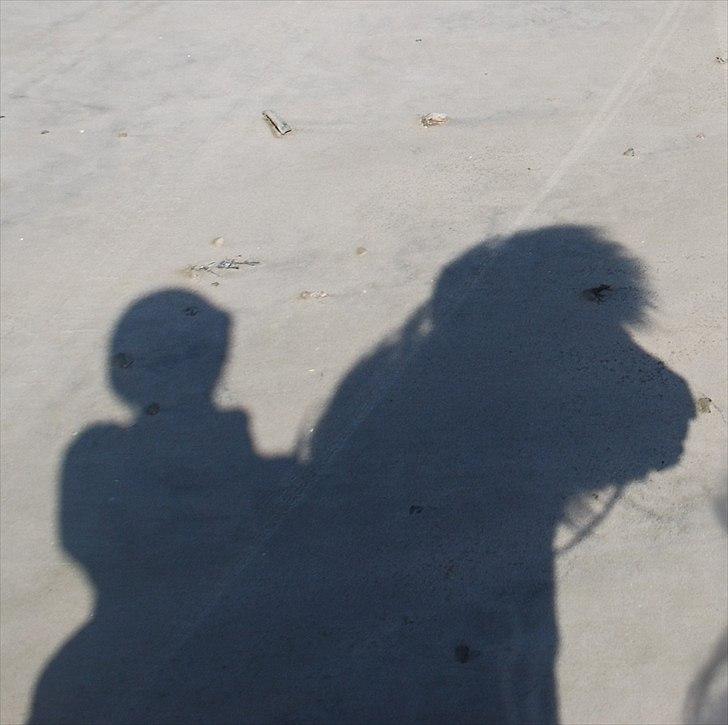 Islænder Faxi fra Miklagård - Faxi og jeg på stranden 1. gang. 9/4-11 billede 5