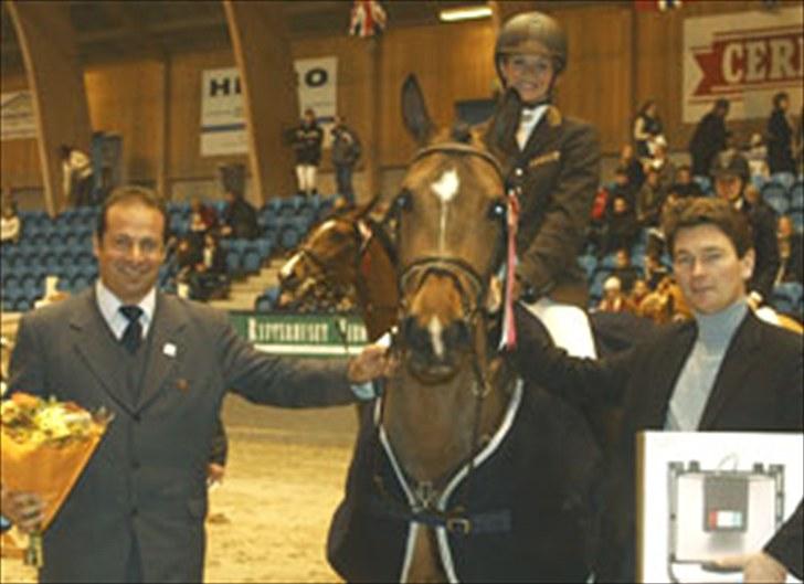 Belgisk varmblod Winny the Blue D'ive - Winnie vinder billede 4