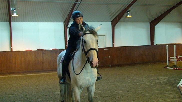 Holstener Carnudo billede 2