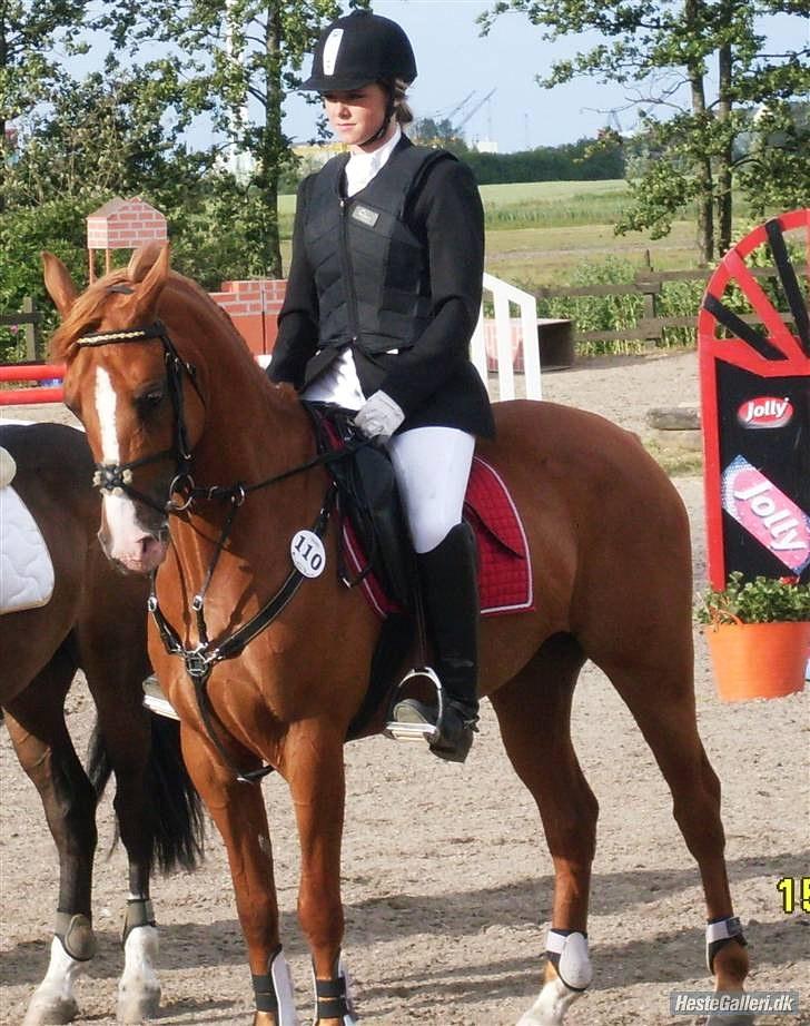 Anden særlig race Amyryllis billede 8