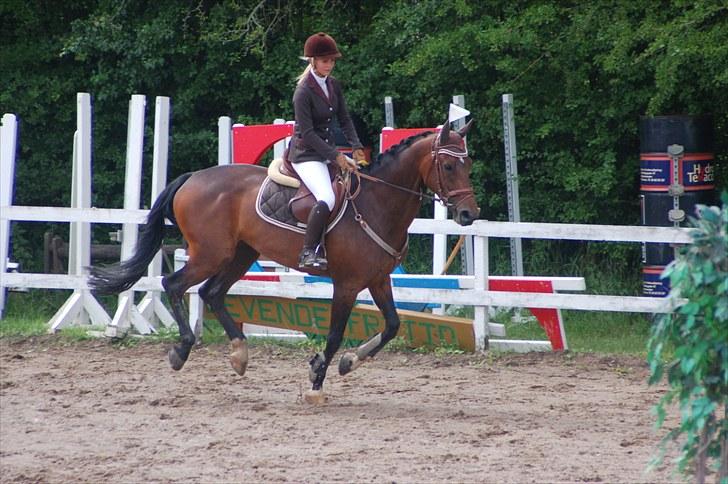 Holstener Bøgelunds Coconella 5 - Ponygården solvang :P billede 10