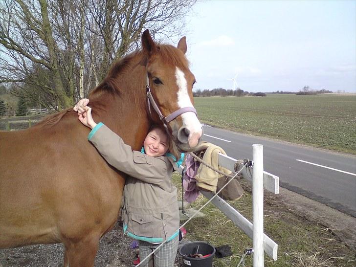 New Forest Cappucino <3 - lillesøster og cappu :´) nuurh <3  billede 8