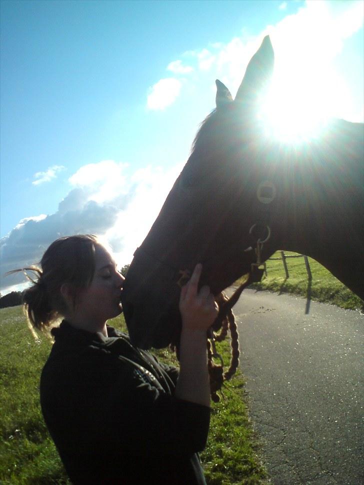 Anden særlig race Chasiopia billede 18