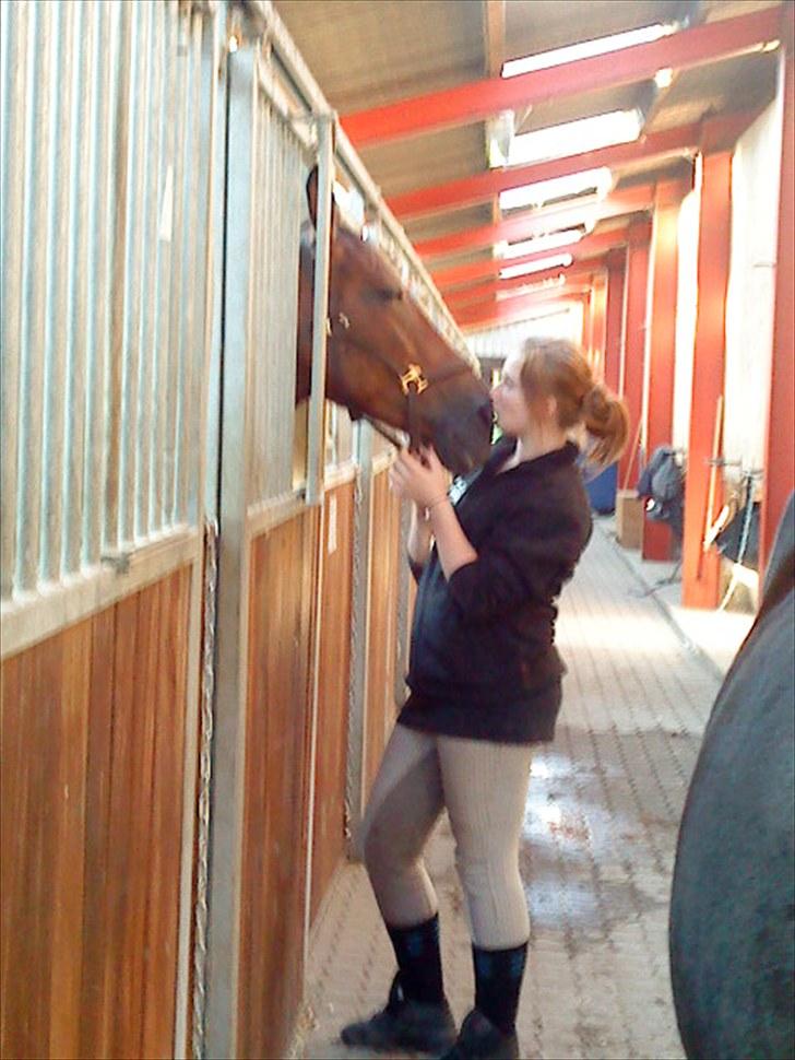 Anden særlig race Chasiopia billede 19