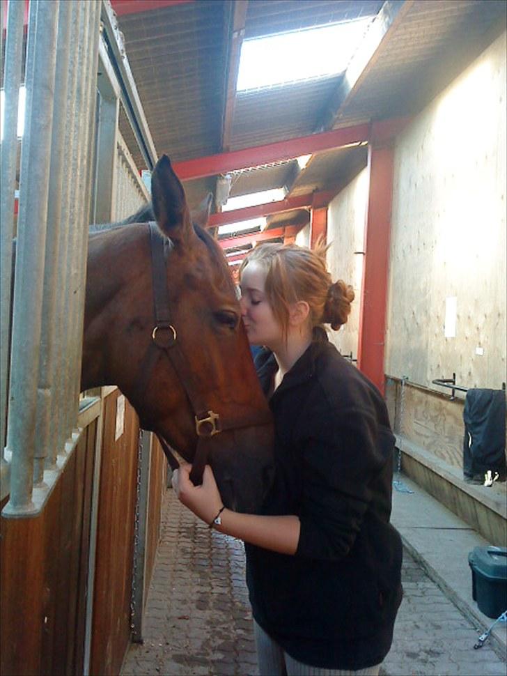 Anden særlig race Chasiopia billede 20