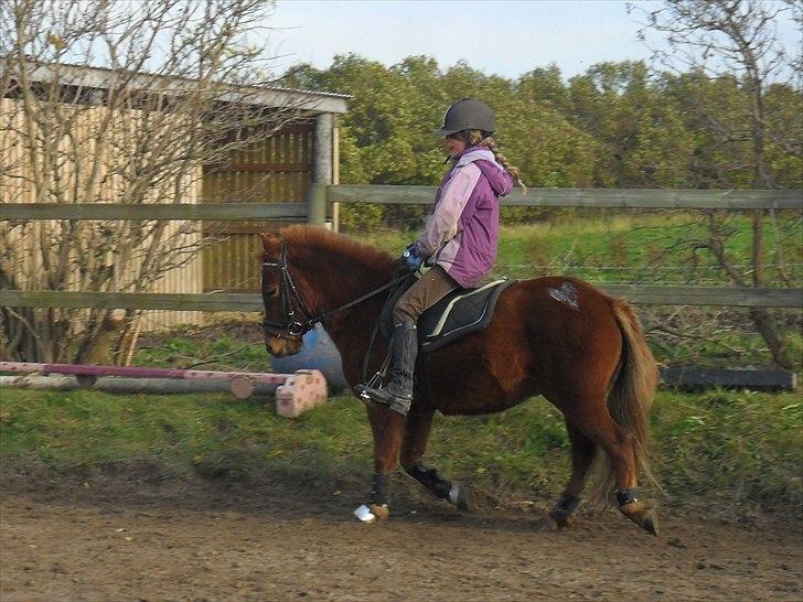 Anden særlig race Emil - Drømmen..<3 Savnet<3;D - <3 <3  billede 3