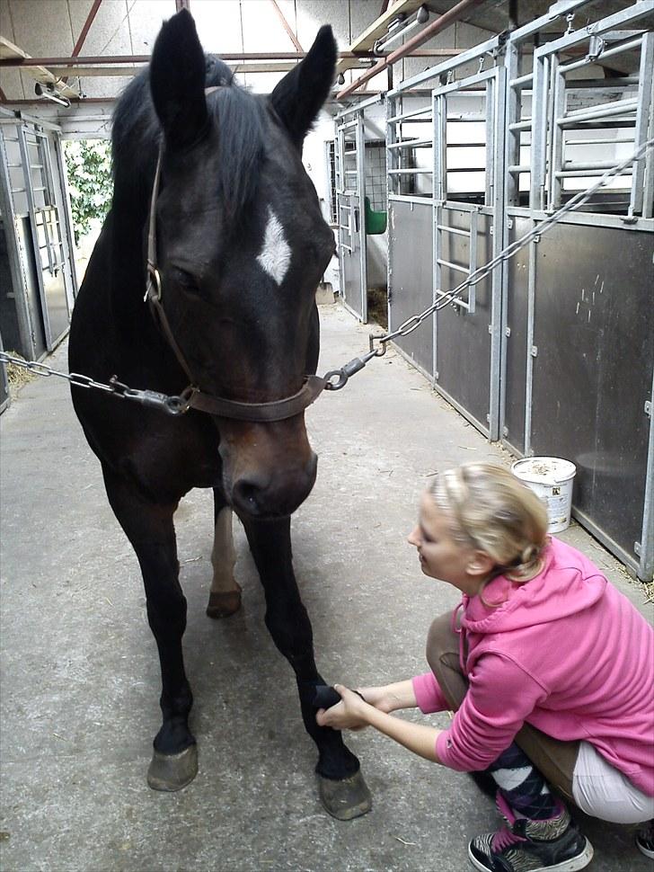 Anden særlig race Lamia  - b. 10 - lamia og louise. billede 10