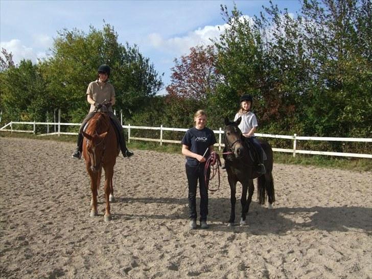 Anden særlig race Utopia - Efterår 2009 billede 5