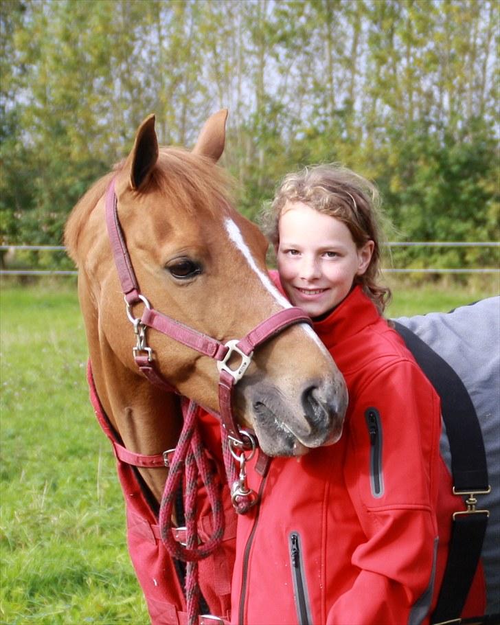 Hollandsk Sportspony Lasco A-pony  (SOLGT)  - mig og lasco billede 2