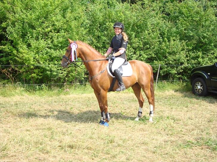 DSP Tesoro - Teso til Copenhagen Horseshow 3. plads LA finale ... <3 billede 8