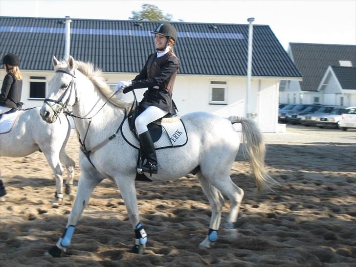 Anden særlig race (HalvPart) Erik (;' billede 9