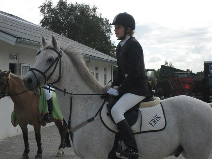 Anden særlig race (HalvPart) Erik (;' billede 12