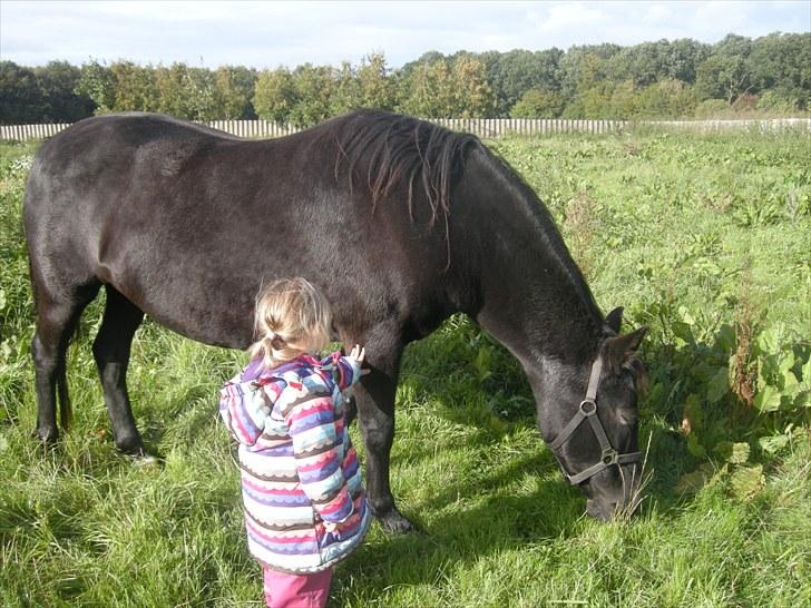 Anden særlig race Bella - Min lille søster og Bella på folden billede 11